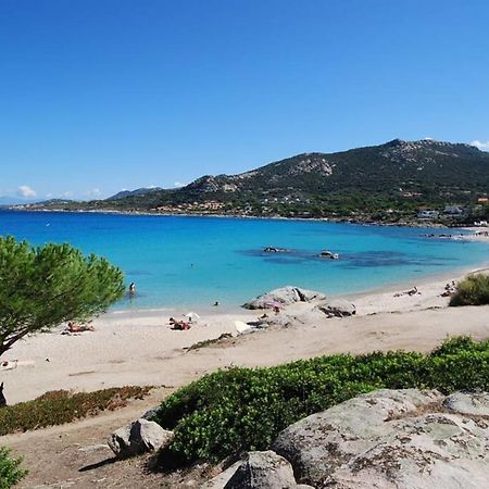L'Orangeraie Calvi Centre A 300M De La Plage Et Du Port Parking Prive Kültér fotó
