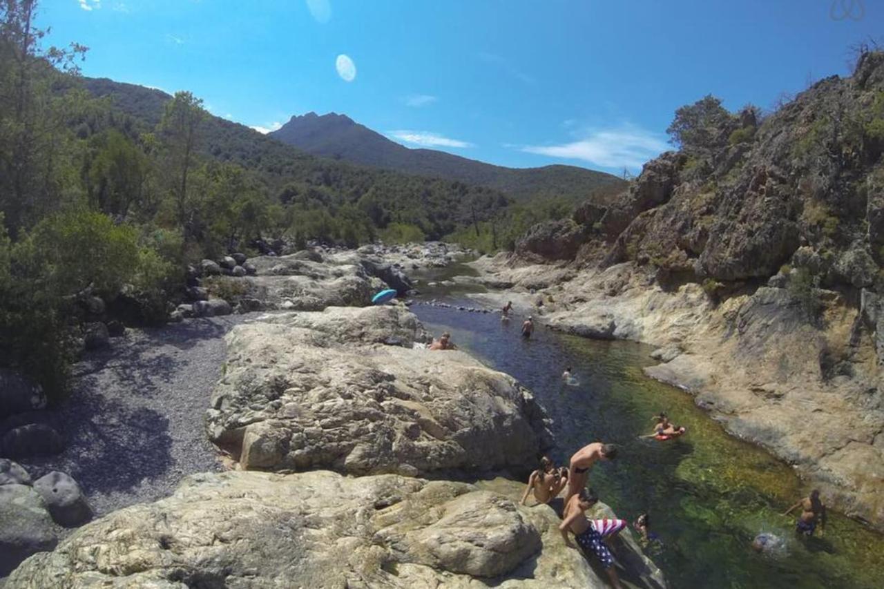 L'Orangeraie Calvi Centre A 300M De La Plage Et Du Port Parking Prive Kültér fotó