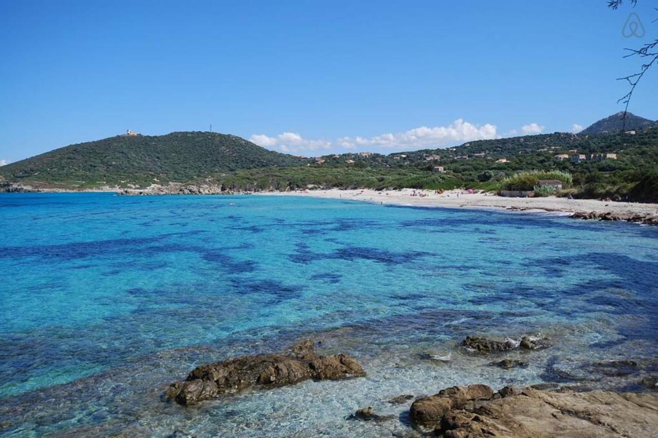 L'Orangeraie Calvi Centre A 300M De La Plage Et Du Port Parking Prive Kültér fotó