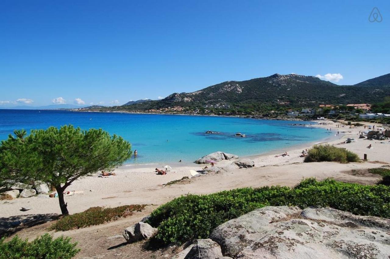 L'Orangeraie Calvi Centre A 300M De La Plage Et Du Port Parking Prive Kültér fotó